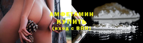 стафф Богданович